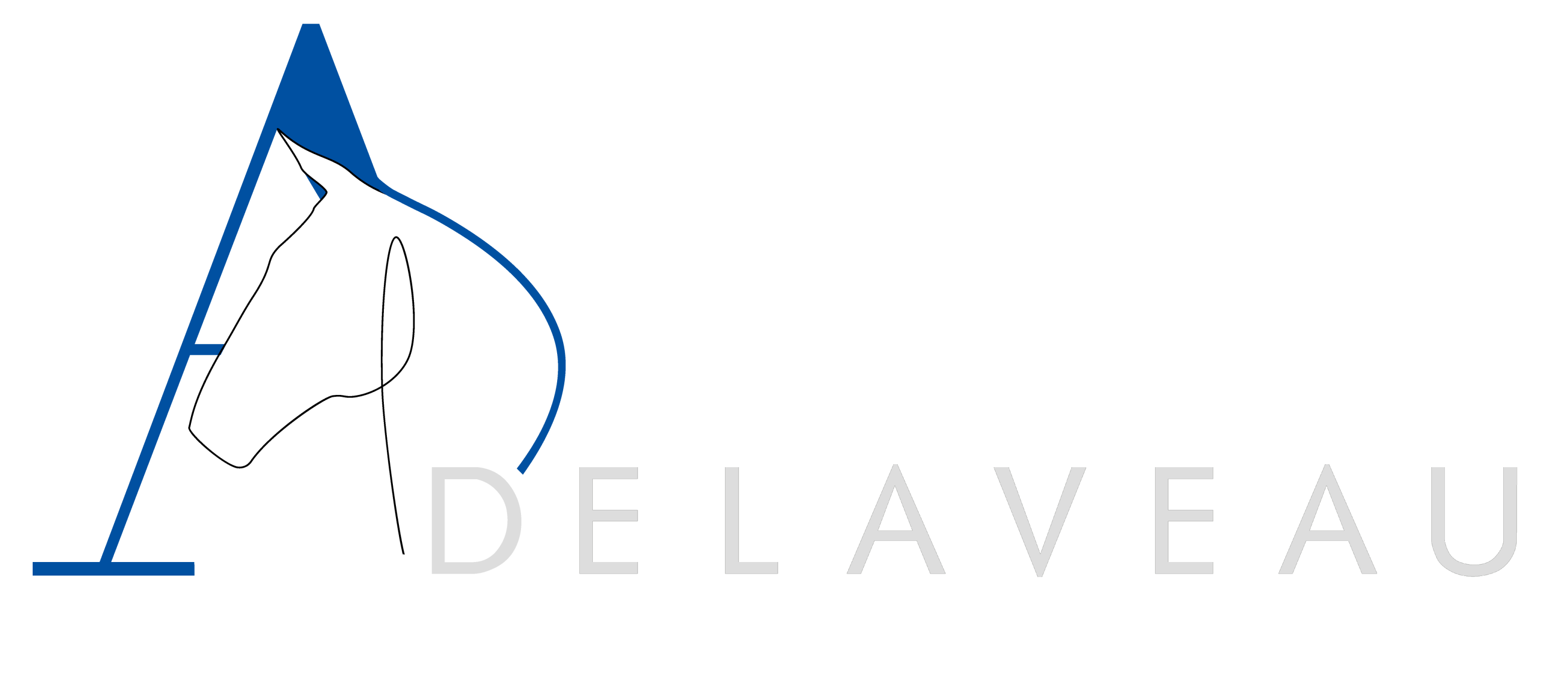 Académie Delaveau Logo