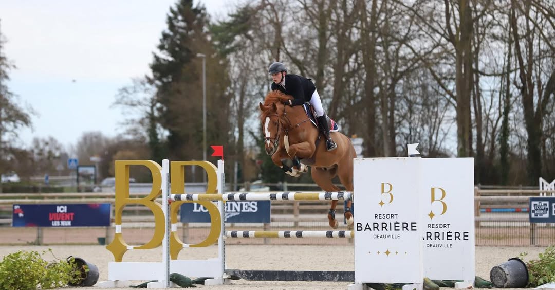 Un cavalier à l’obstacle en compétition