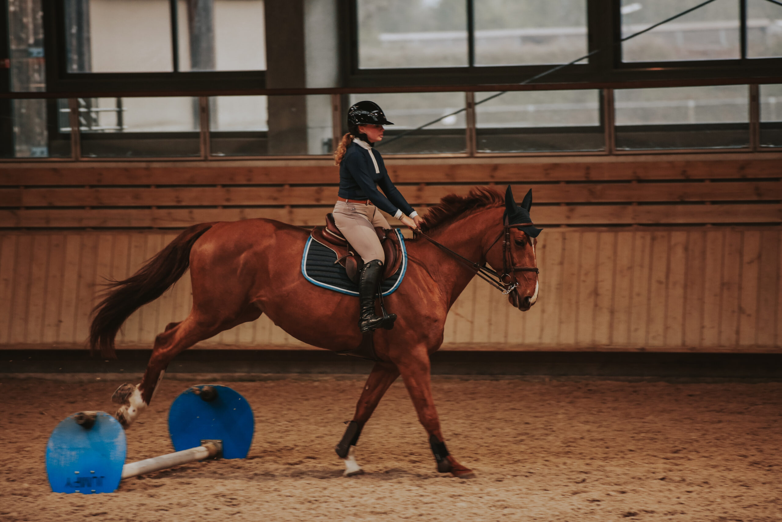 Cavalière à cheval