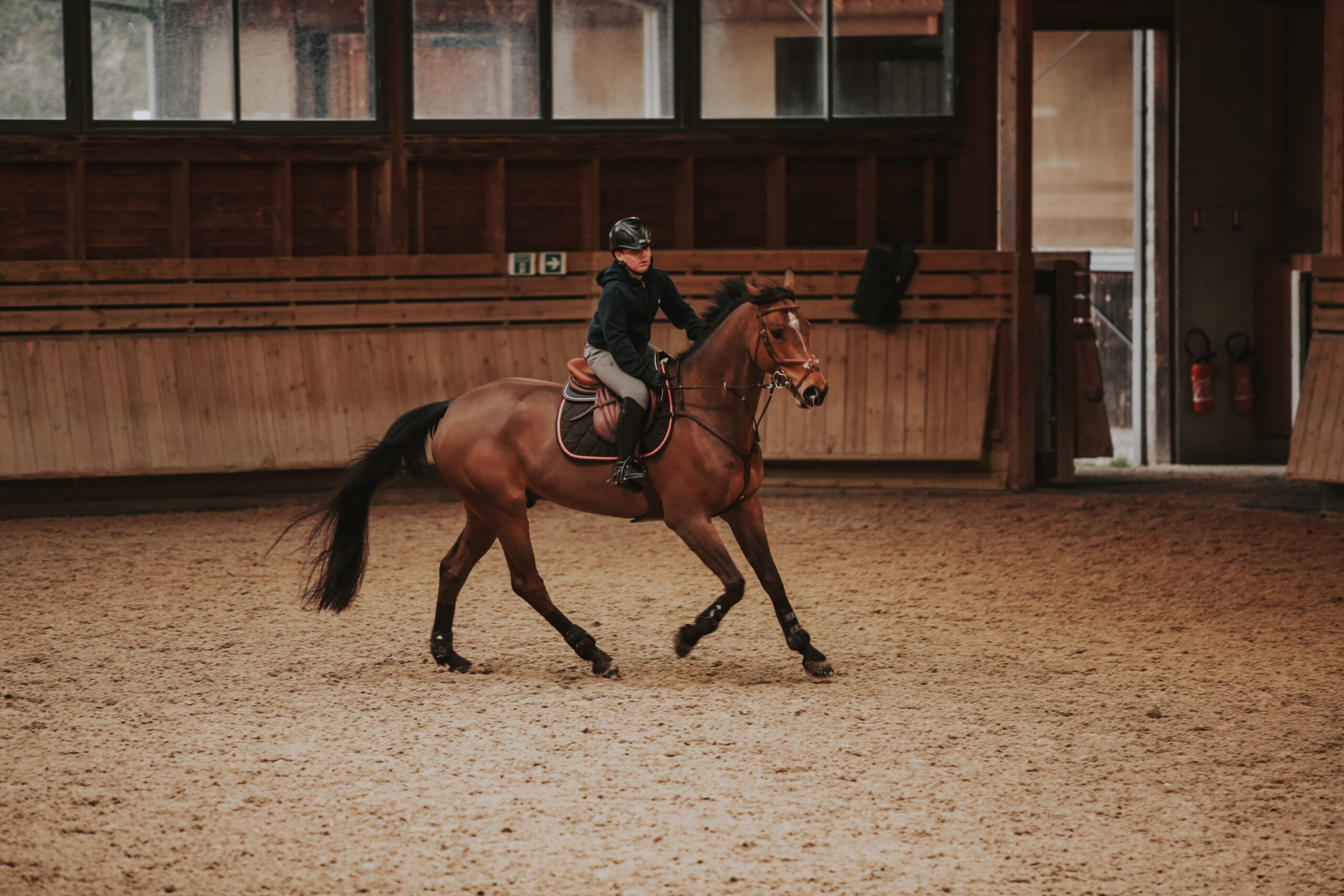 Aristide à cheval dans les installations de Deauville