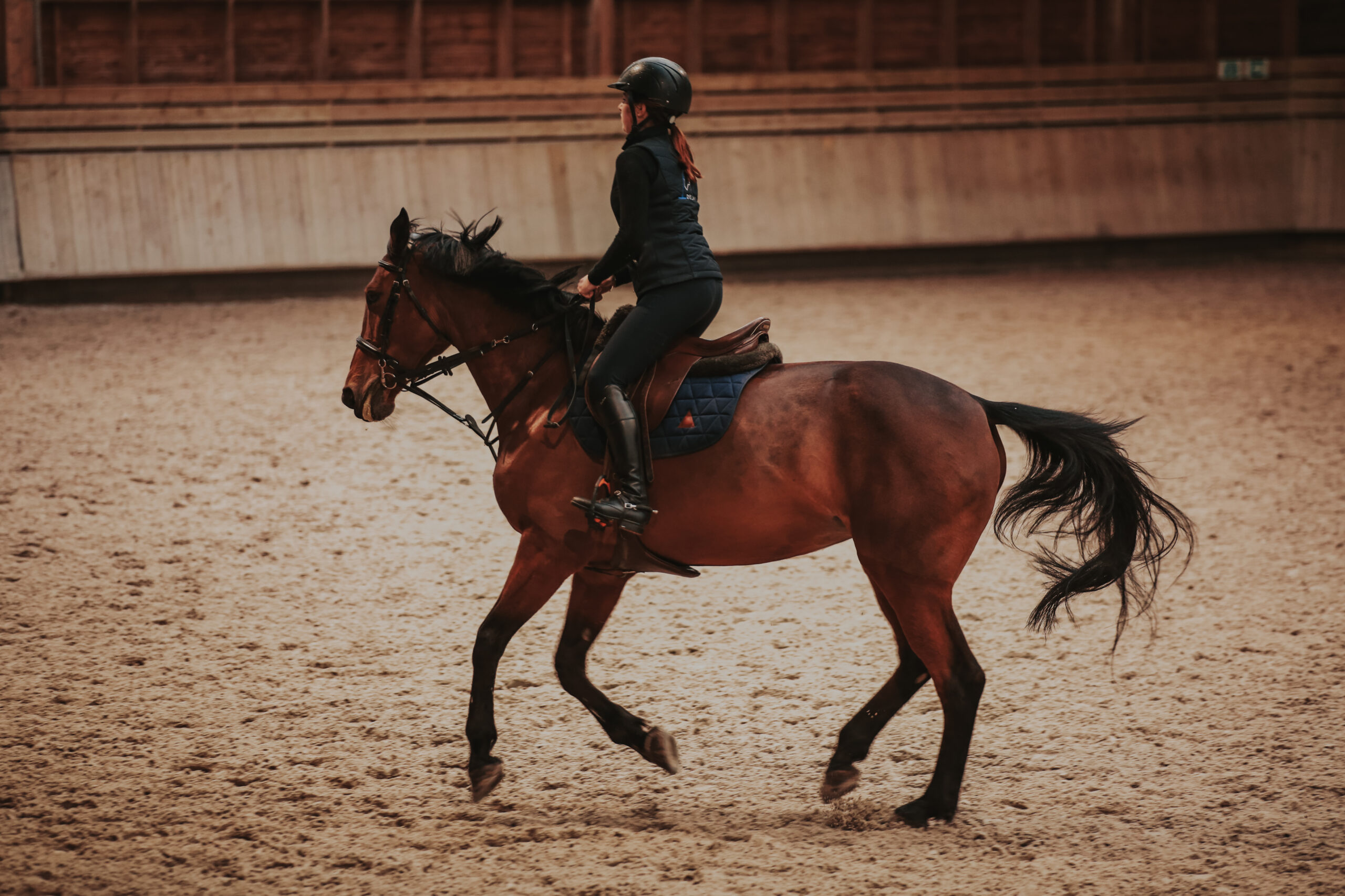 Cavalière à cheval