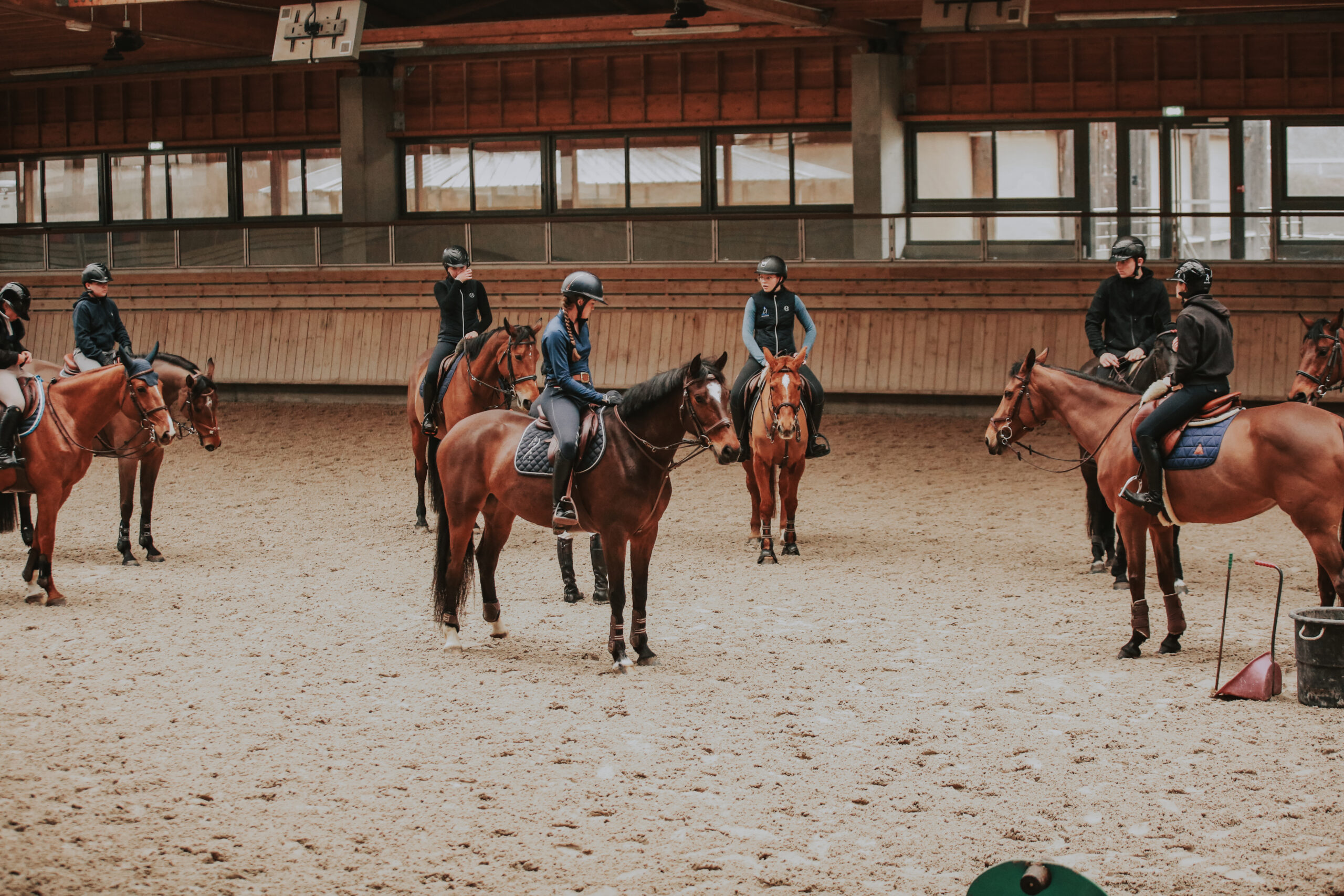 Cavaliers réunis à cheval au Pôle International